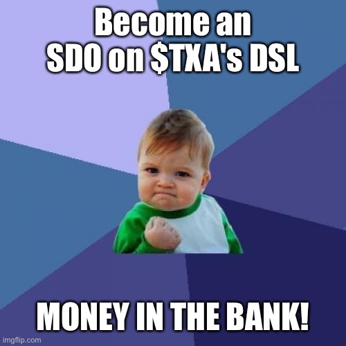 Success baby TXA | Become an SDO on $TXA's DSL; MONEY IN THE BANK! | image tagged in memes,success kid | made w/ Imgflip meme maker