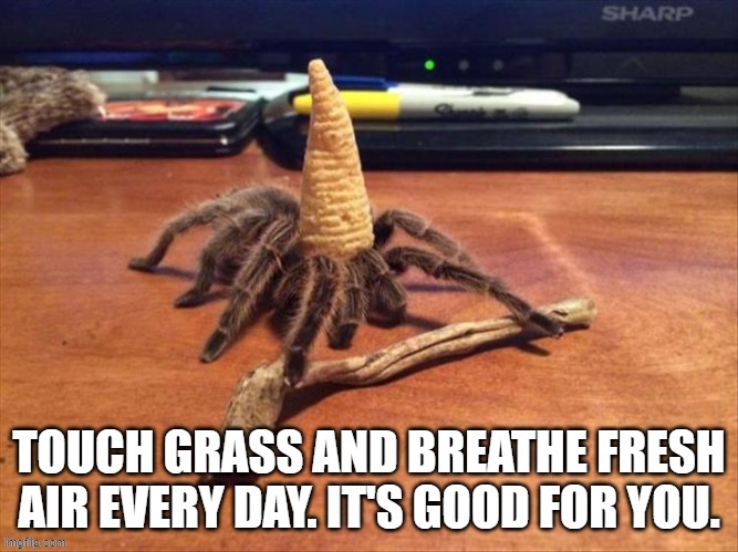 TOUCH GRASS AND BREATHE FRESH AIR EVERY DAY. IT'S GOOD FOR YOU. | made w/ Imgflip meme maker