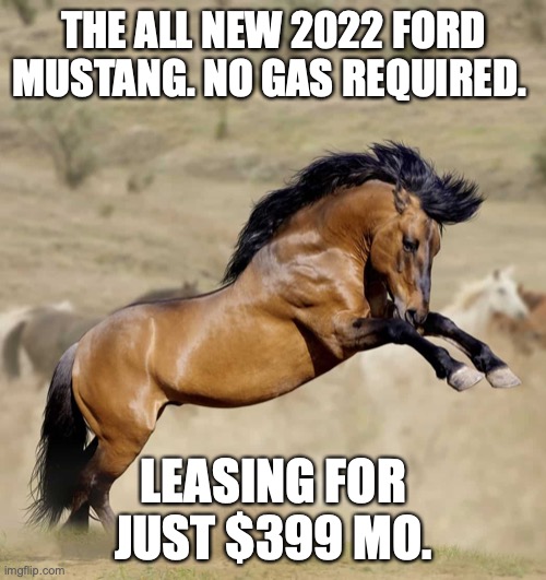 Ford Mustang | THE ALL NEW 2022 FORD MUSTANG. NO GAS REQUIRED. LEASING FOR JUST $399 MO. | image tagged in fordmustang,gas,gasoline,gas prices | made w/ Imgflip meme maker