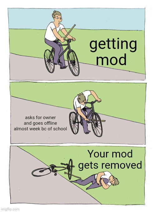 .-. | getting mod; asks for owner and goes offline almost week bc of school; Your mod gets removed | image tagged in memes,bike fall | made w/ Imgflip meme maker