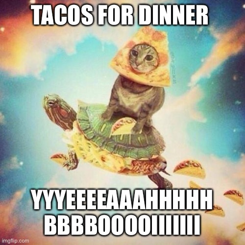 Mmm, tacos | TACOS FOR DINNER; YYYEEEEAAAHHHHH BBBBOOOOIIIIIII | image tagged in space pizza cat turtle tacos | made w/ Imgflip meme maker