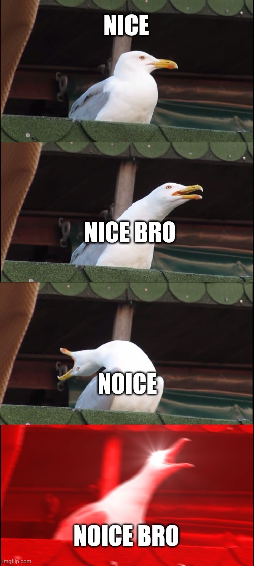 Inhaling Seagull Meme | NICE; NICE BRO; NOICE; NOICE BRO | image tagged in memes,inhaling seagull | made w/ Imgflip meme maker