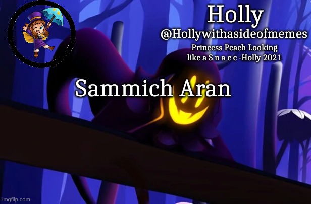 Metroid | Sammich Aran | image tagged in holly snatcher template | made w/ Imgflip meme maker
