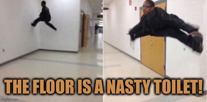 floor is lava | THE FLOOR IS A NASTY TOILET! | image tagged in floor is lava | made w/ Imgflip meme maker