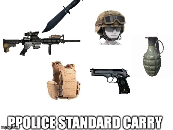 ppolice standard carry | PPOLICE STANDARD CARRY | image tagged in blank white template | made w/ Imgflip meme maker