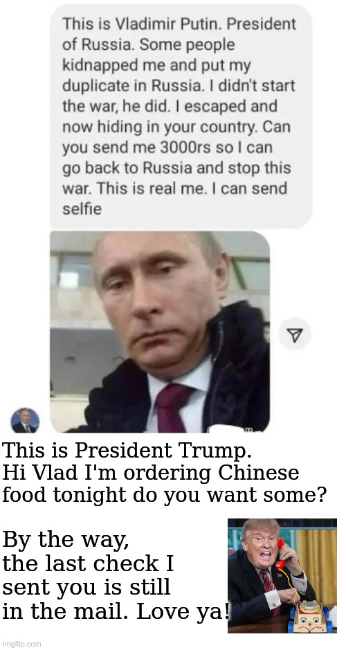 A real online conversation | This is President Trump. Hi Vlad I'm ordering Chinese food tonight do you want some? By the way, the last check I sent you is still in the mail. Love ya! | image tagged in rumpt,putin,ww3 | made w/ Imgflip meme maker