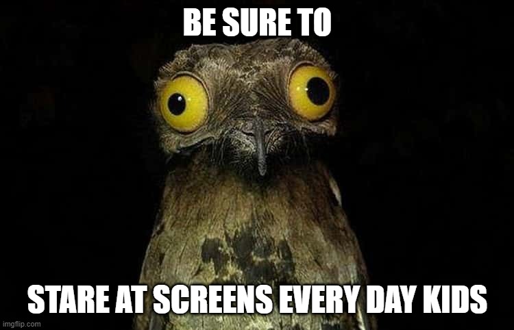 Be sure to scare at screens, kids. | BE SURE TO; STARE AT SCREENS EVERY DAY KIDS | image tagged in funny,funny memes,memes,birb | made w/ Imgflip meme maker