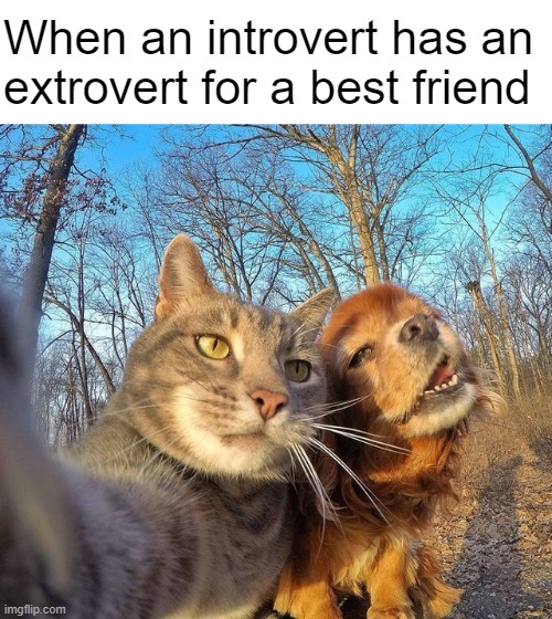 You do cute, I'll do weird | When an introvert has an extrovert for a best friend | made w/ Imgflip meme maker