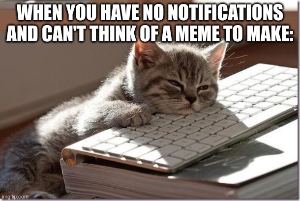 Bored Keyboard Cat |  WHEN YOU HAVE NO NOTIFICATIONS AND CAN'T THINK OF A MEME TO MAKE: | image tagged in bored keyboard cat | made w/ Imgflip meme maker