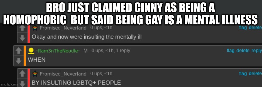 bozo | BRO JUST CLAIMED CINNY AS BEING A HOMOPHOBIC  BUT SAID BEING GAY IS A MENTAL ILLNESS | made w/ Imgflip meme maker