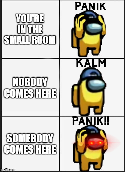 Among us Panik | YOU'RE IN THE SMALL ROOM; NOBODY COMES HERE; SOMEBODY COMES HERE | image tagged in among us panik,sus | made w/ Imgflip meme maker