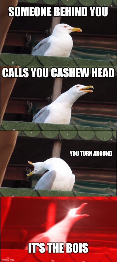 Inhaling Seagull | SOMEONE BEHIND YOU; CALLS YOU CASHEW HEAD; YOU TURN AROUND; IT'S THE BOIS | image tagged in memes,inhaling seagull | made w/ Imgflip meme maker