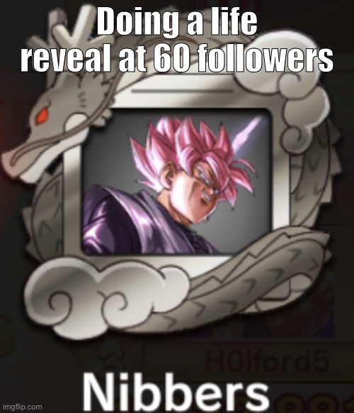 Nibbers | Doing a life reveal at 60 followers | image tagged in nibbers | made w/ Imgflip meme maker