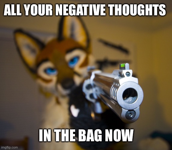 Right now | ALL YOUR NEGATIVE THOUGHTS; IN THE BAG NOW | image tagged in furry with gun,wholesome | made w/ Imgflip meme maker