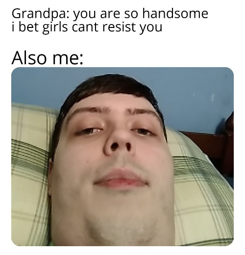 image tagged in memes | made w/ Imgflip meme maker