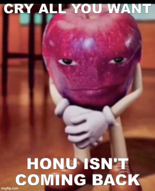 lol what a baby | CRY ALL YOU WANT; HONU ISN'T COMING BACK | made w/ Imgflip meme maker