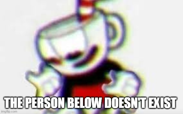 The Person Below is... | THE PERSON BELOW DOESN'T EXIST | image tagged in the person below is | made w/ Imgflip meme maker