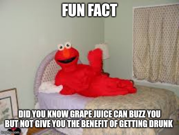 piss kink | FUN FACT; DID YOU KNOW GRAPE JUICE CAN BUZZ YOU BUT NOT GIVE YOU THE BENEFIT OF GETTING DRUNK | made w/ Imgflip meme maker