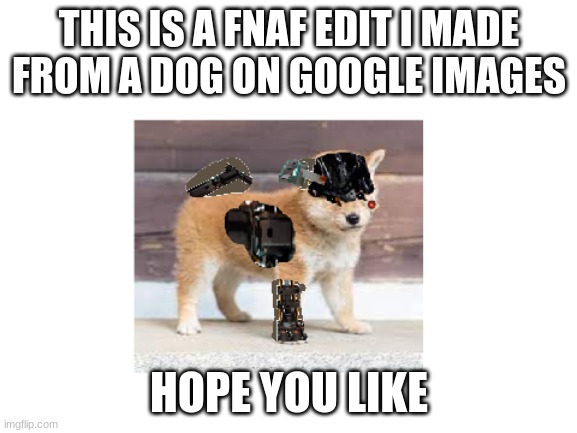 fnaf edit image | THIS IS A FNAF EDIT I MADE FROM A DOG ON GOOGLE IMAGES; HOPE YOU LIKE | image tagged in photoshop,fnaf,fan art | made w/ Imgflip meme maker
