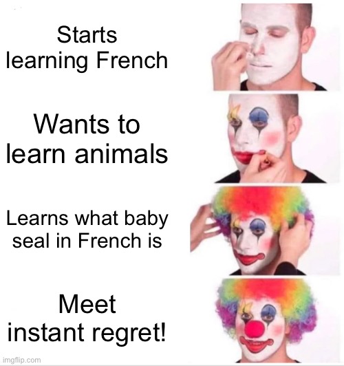 Clown Applying Makeup | Starts learning French; Wants to learn animals; Learns what baby seal in French is; Meet instant regret! | image tagged in memes,clown applying makeup,french,seal | made w/ Imgflip meme maker