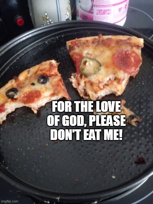 FOR THE LOVE OF GOD, PLEASE DON'T EAT ME! | image tagged in meme,memes,humor,pizza | made w/ Imgflip meme maker