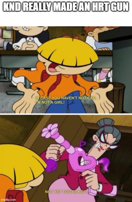KND REALLY MADE AN HRT GUN | made w/ Imgflip meme maker