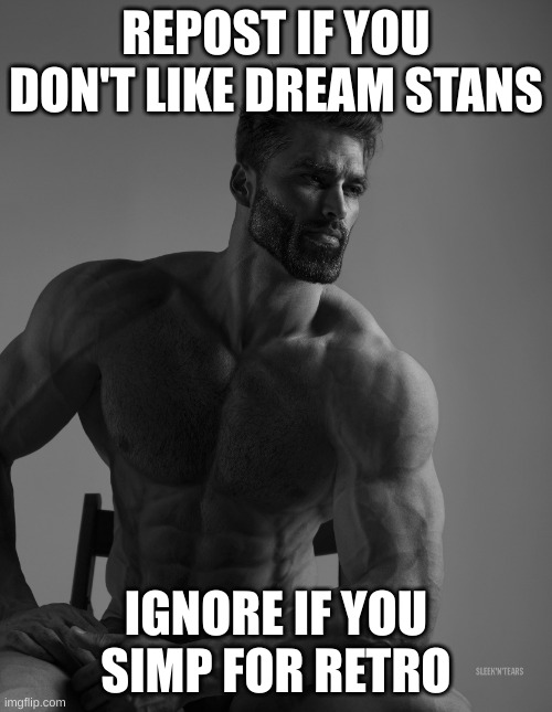 Giga Chad | REPOST IF YOU DON'T LIKE DREAM STANS; IGNORE IF YOU SIMP FOR RETRO | image tagged in giga chad | made w/ Imgflip meme maker