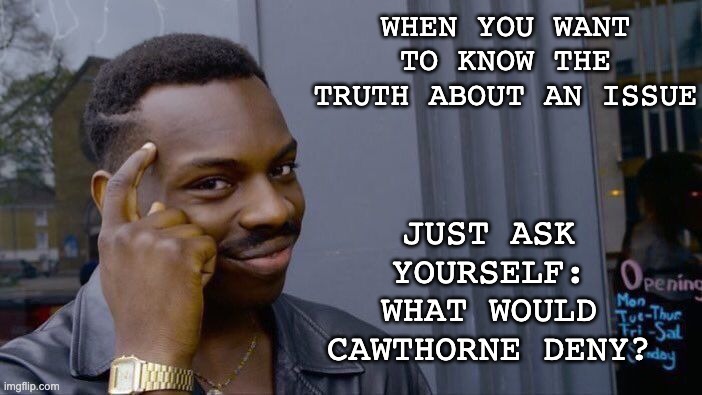 Roll Safe Think About It Meme | WHEN YOU WANT TO KNOW THE TRUTH ABOUT AN ISSUE JUST ASK YOURSELF: WHAT WOULD CAWTHORNE DENY? | image tagged in memes,roll safe think about it | made w/ Imgflip meme maker