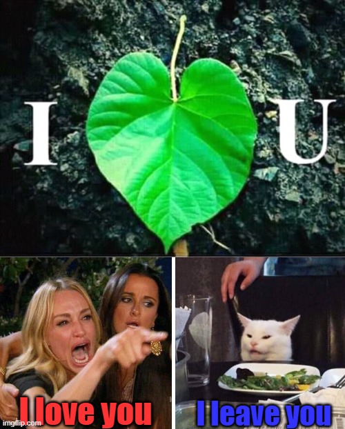 I leave you; I love you | image tagged in smudge the cat | made w/ Imgflip meme maker