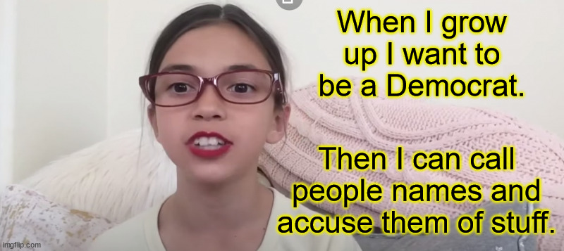 I imagine that AOC is really hard to be around.  She seems like a person that you would want to avoid.  I know I would. | When I grow up I want to be a Democrat. Then I can call people names and accuse them of stuff. | image tagged in mini aoc,rude,nasty disposition | made w/ Imgflip meme maker