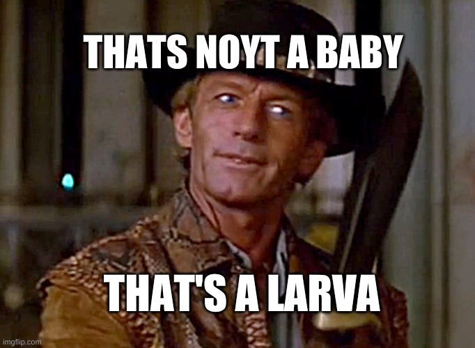 Crocodile Dundee Knife | THATS NOYT A BABY THAT'S A LARVA | image tagged in crocodile dundee knife | made w/ Imgflip meme maker
