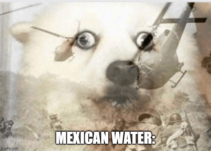 PTSD dog | MEXICAN WATER: | image tagged in ptsd dog | made w/ Imgflip meme maker