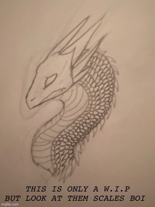 Damn :D | THIS IS ONLY A W.I.P BUT LOOK AT THEM SCALES BOI | image tagged in dragon,drawing,sketch | made w/ Imgflip meme maker