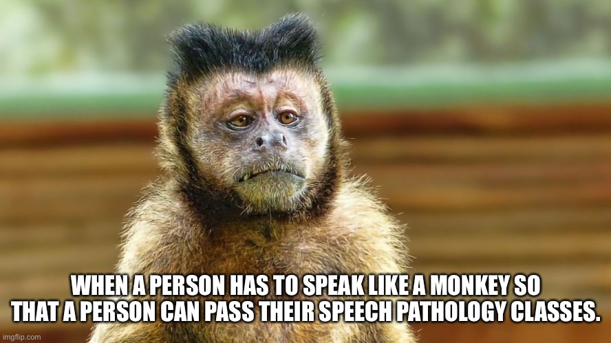 WHEN A PERSON HAS TO SPEAK LIKE A MONKEY SO THAT A PERSON CAN PASS THEIR SPEECH PATHOLOGY CLASSES. | image tagged in speech,pathology | made w/ Imgflip meme maker