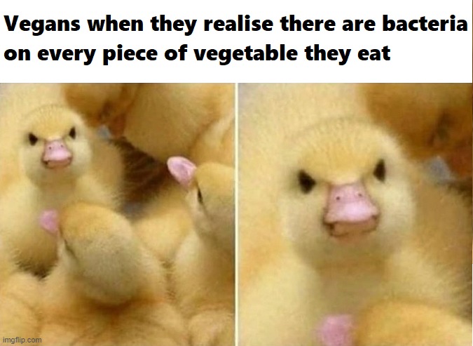 ...and they cant do a thing about it | image tagged in vegans unnerved | made w/ Imgflip meme maker