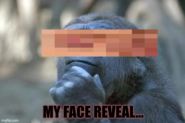 Back by popular demand | MY FACE REVEAL... | image tagged in that is the question,face reveal,lol,but why why would you do that | made w/ Imgflip meme maker