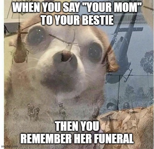 Oh, that didn't go over well at all |  WHEN YOU SAY "YOUR MOM"
TO YOUR BESTIE; THEN YOU REMEMBER HER FUNERAL | image tagged in ptsd chihuahua,memes,your mom,funeral,dead,besties | made w/ Imgflip meme maker