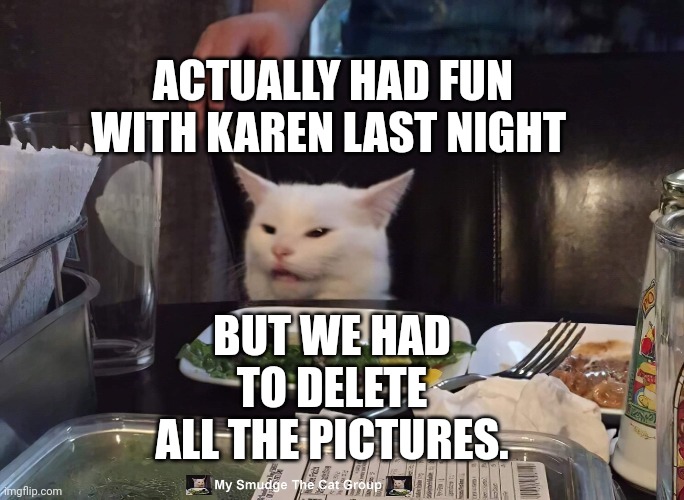 ACTUALLY HAD FUN WITH KAREN LAST NIGHT; BUT WE HAD TO DELETE ALL THE PICTURES. | image tagged in smudge the cat | made w/ Imgflip meme maker