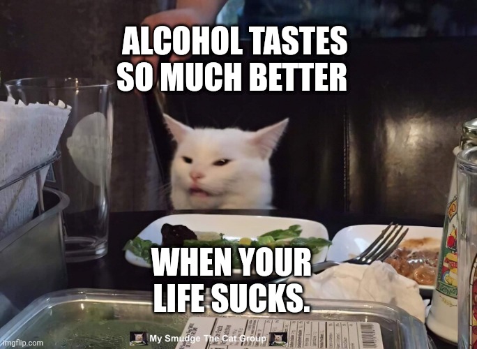  ALCOHOL TASTES SO MUCH BETTER; WHEN YOUR LIFE SUCKS. | image tagged in smudge the cat,smudge | made w/ Imgflip meme maker