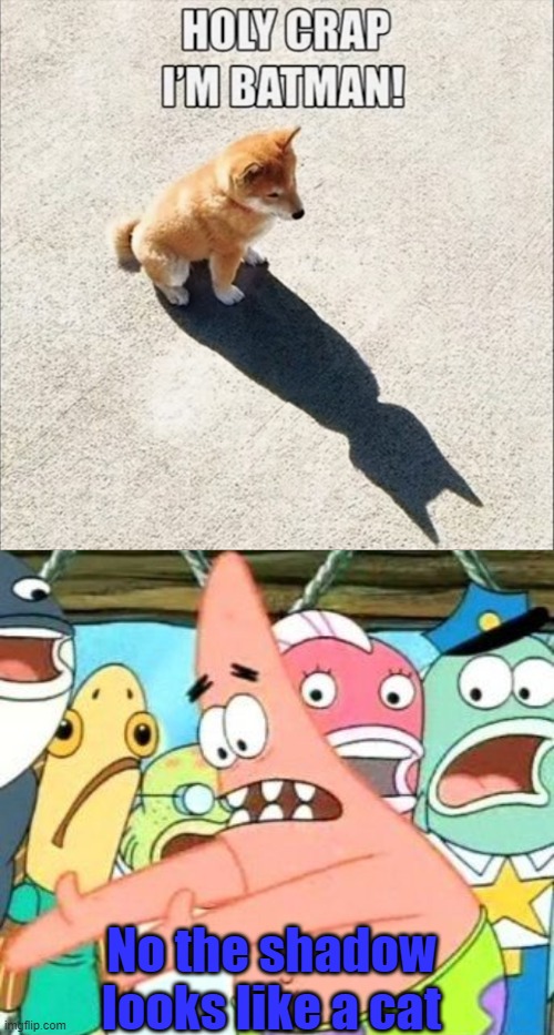 No the shadow looks like a cat | image tagged in memes,put it somewhere else patrick | made w/ Imgflip meme maker