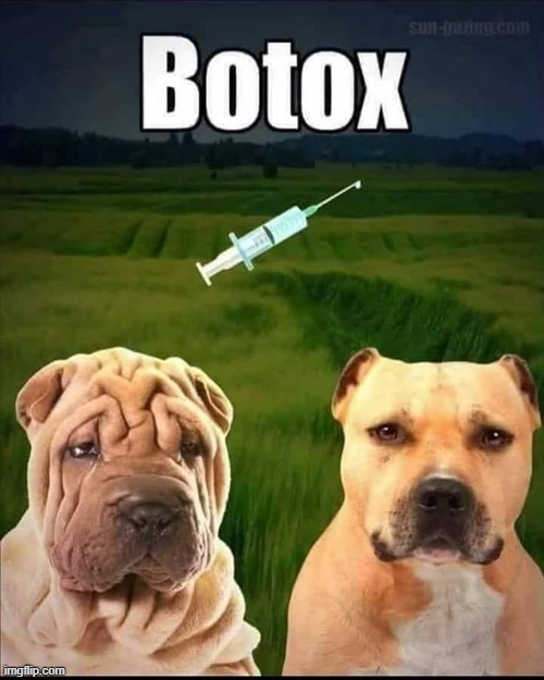 Botox | image tagged in cha cha real smooth | made w/ Imgflip meme maker