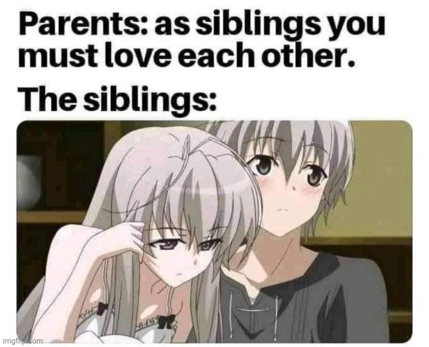 Hold up kinda sus | image tagged in anime,siblings,sweet home alabama | made w/ Imgflip meme maker