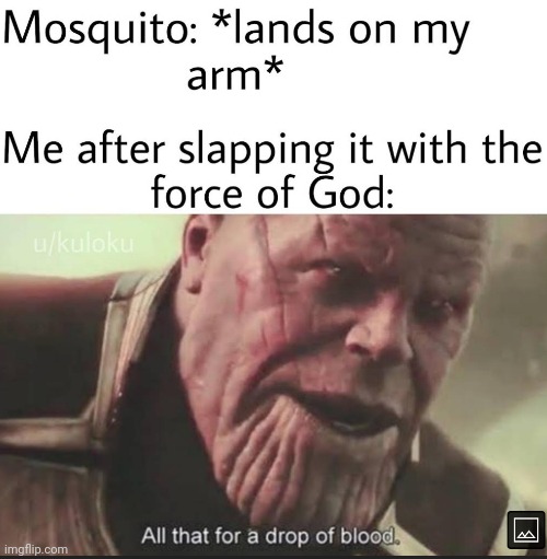 Worth it! | image tagged in mosquito,slap | made w/ Imgflip meme maker