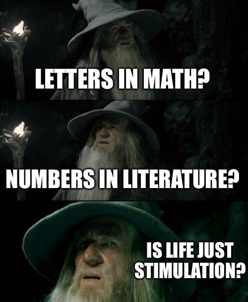Confused Gandalf Meme | LETTERS IN MATH? NUMBERS IN LITERATURE? IS LIFE JUST STIMULATION? | image tagged in memes,confused gandalf | made w/ Imgflip meme maker