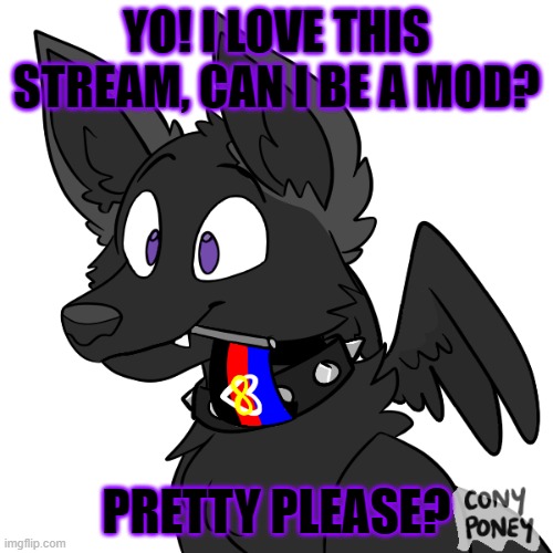 Just to make sure no haters ruin this stream ^w^ | YO! I LOVE THIS STREAM, CAN I BE A MOD? PRETTY PLEASE? | image tagged in furry,streams,memes,mods,this stream is awesome | made w/ Imgflip meme maker