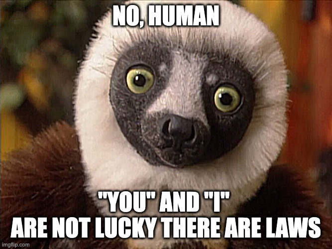 lawful realism | NO, HUMAN; "YOU" AND "I" 
ARE NOT LUCKY THERE ARE LAWS | image tagged in gouldposting,stephen jay gould,the mismeasure of man | made w/ Imgflip meme maker