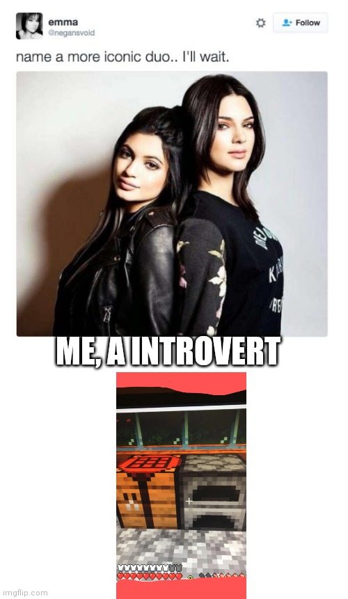 Name a more iconic duo | ME, A INTROVERT | image tagged in name a more iconic duo | made w/ Imgflip meme maker