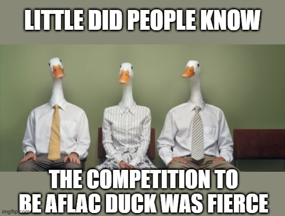 Quack-dition | LITTLE DID PEOPLE KNOW; THE COMPETITION TO BE AFLAC DUCK WAS FIERCE | image tagged in funny ducks | made w/ Imgflip meme maker