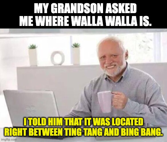 If you get the joke, you're probably as old as I am. | MY GRANDSON ASKED ME WHERE WALLA WALLA IS. I TOLD HIM THAT IT WAS LOCATED RIGHT BETWEEN TING TANG AND BING BANG. | image tagged in harold | made w/ Imgflip meme maker