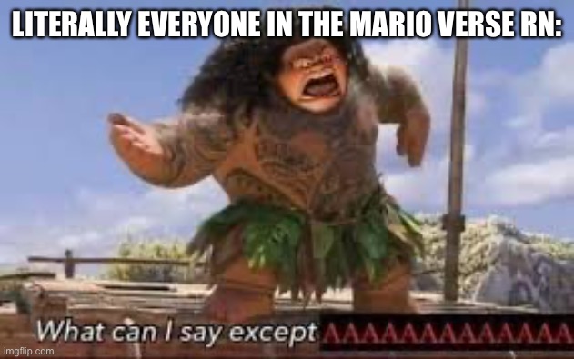 What can i say except aaaaaaaaaaa | LITERALLY EVERYONE IN THE MARIO VERSE RN: | image tagged in what can i say except aaaaaaaaaaa | made w/ Imgflip meme maker